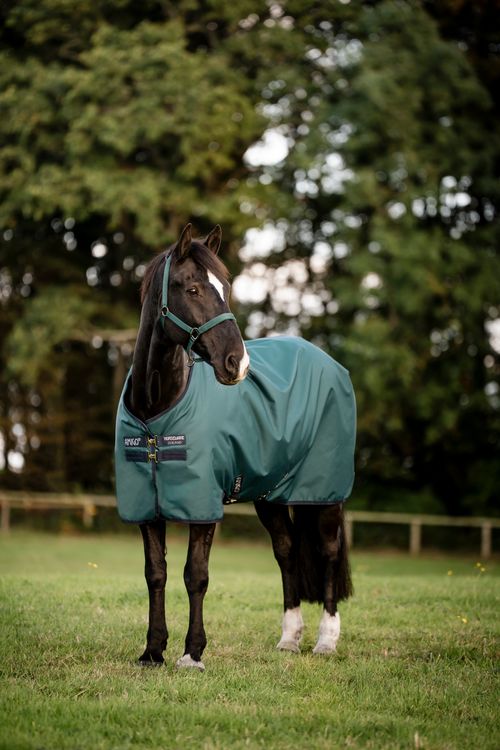 Amigo Ripstop 900D Pony Turnout 100g - Dynasty Green/Navy/Silver