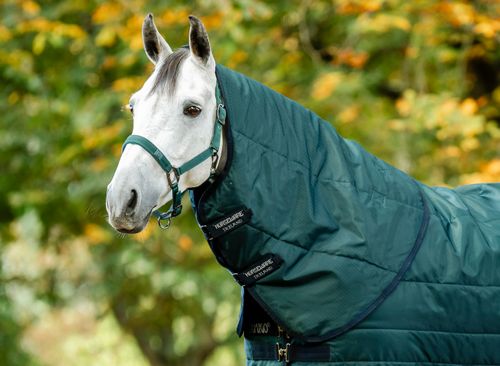 Amigo Ripstop Insulator Stable Hood 100g - Dynasty Green/Navy/Silver