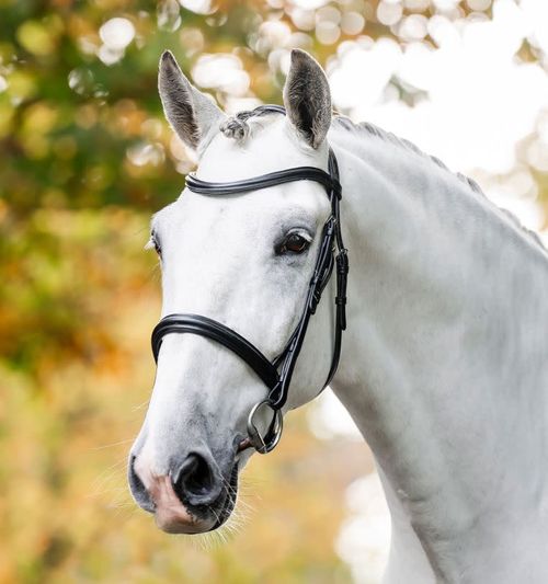 Horseware Cavesson Bridle - Black