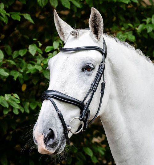 Horseware Dressage Flash Bridle - Black