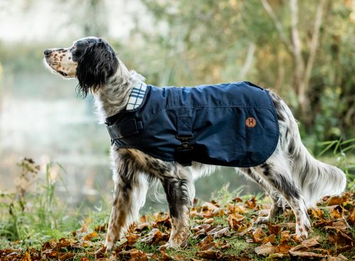 Horseware Newmarket Heritage Dog Coat - Navy/Witney Navy
