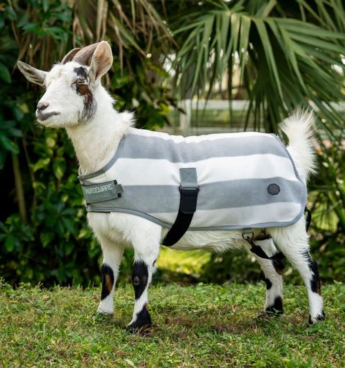 Horseware Newmarket Goat Fleece - Witney Charcoal
