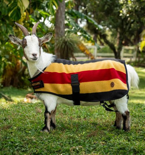 Horseware Newmarket Goat Fleece - Witney Gold