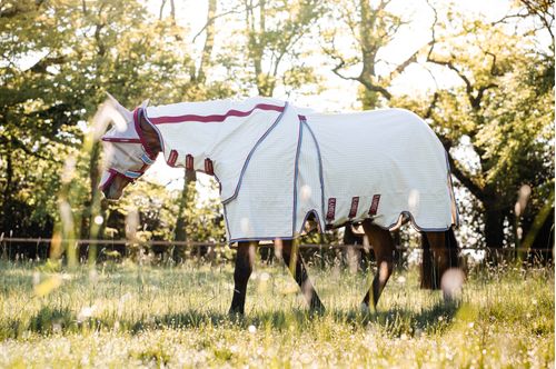 OPENBOX: Rambo Optimo Supreme Summer Sheet - 72 - Navy Check/Cherry/Peach/Blue