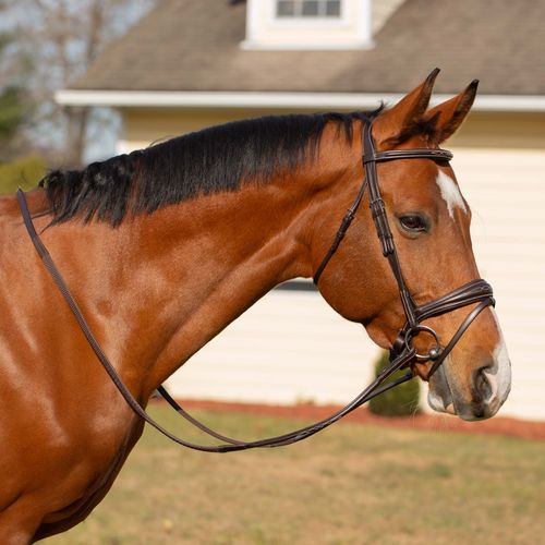 OPENBOX: Equinavia Valkyrie Anatomic Jumper Bridle w/Rubber Reins - Large Horse - Chocolate Brown