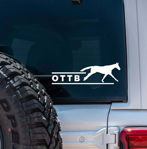 Dapplebay Vinyl Decal - White OTTB