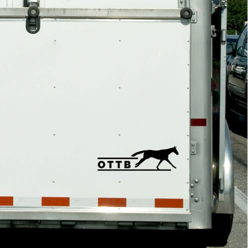 Dapplebay Vinyl Decal - Black OTTB