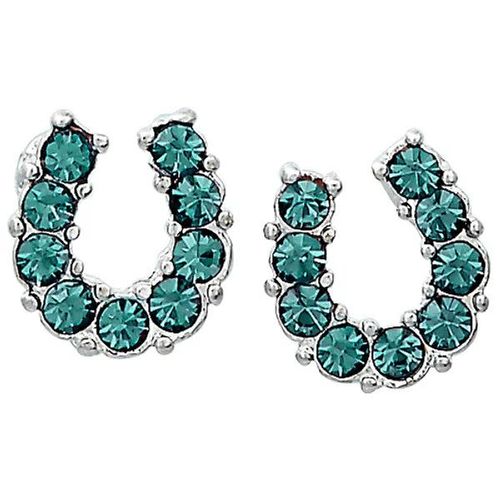 AWST Rhinestone Horseshoe Earrings  w/Horse Head Gift Box - Aqua