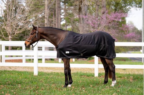 TuffRider 3D Spacer Cooler Sheet - Black