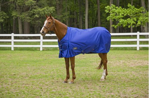 TuffRider 1680 D Super Comfy Turnout Medium 200 Standard Neck - Royal