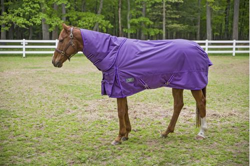 TuffRider 1680 D Super Comfy Turnout Heavy 350 Detachable Neck - Purple