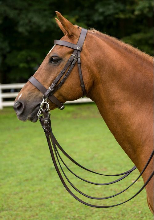 Henri de Rivel Polo Bridle w/Double Reins - Havana