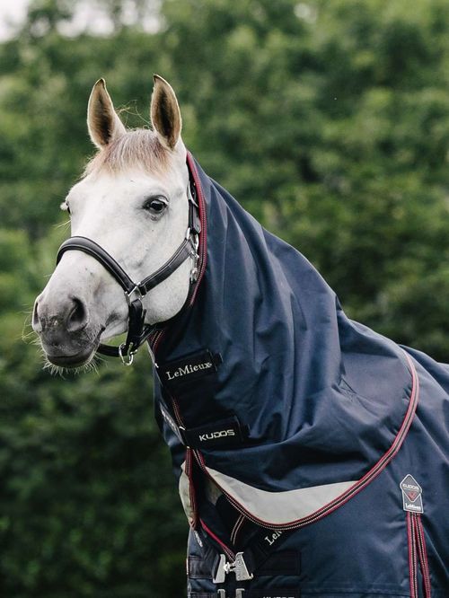LeMieux Kudos Turnout Neck Cover 100g - Navy