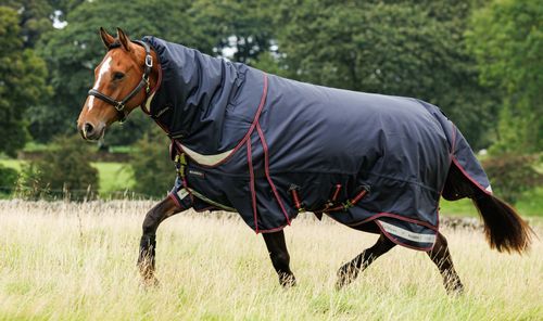 LeMieux Kudos Thermo Layer Turnout Blanket 300g - Navy