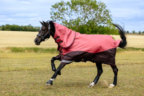 LeMieux Arika 600D Ripstop 200g Turnout Blanket - Cranberry