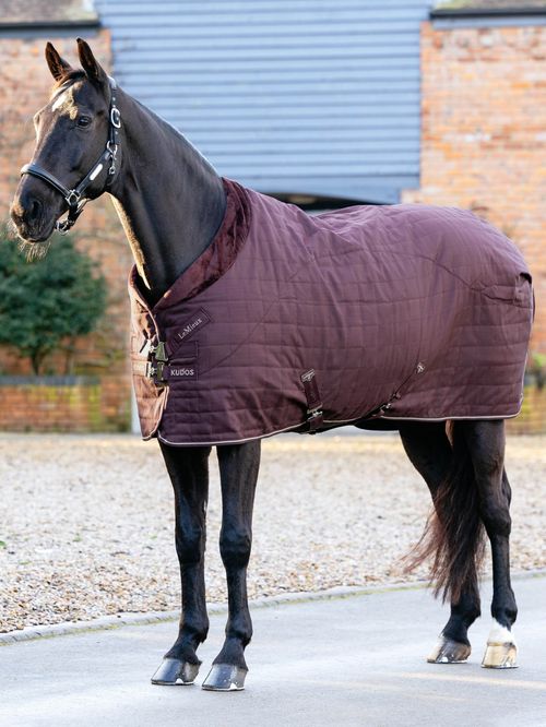 LeMieux Kudos Luxe Lined Stable Blanket - Damson