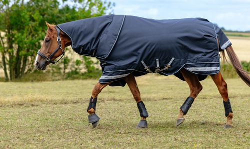 LeMieux Arika StormTek Blanket 350g - Navy