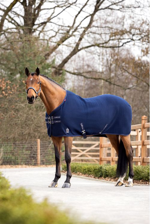 LeMieux Arika ClimaTek Rug - Navy