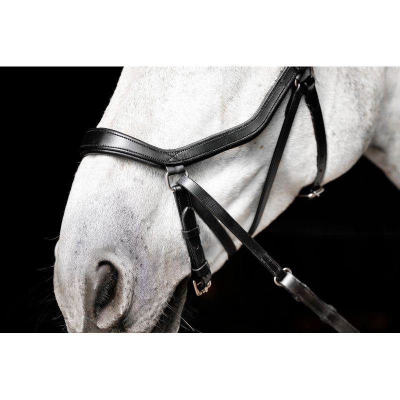 Surfaix de travail équitation Cheval et Poney - noir