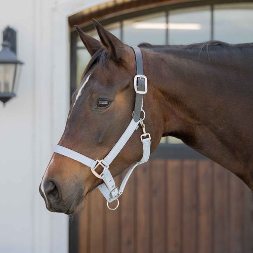 Equinavia Loki  Breakaway Halter - Sweet Blue