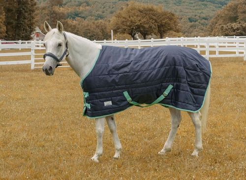 BARGAIN BARN: TuffRider Kozy Komfort Stable Blanket - 69 - Navy