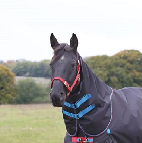 BARGAIN BARN: Shires Highlander Plus 200G Neck Cover - Medium - Navy
