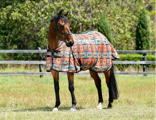 OPENBOX: Weatherbeeta Comfitec Essential Mesh II Standard Neck - 69 - Western Sunset Print