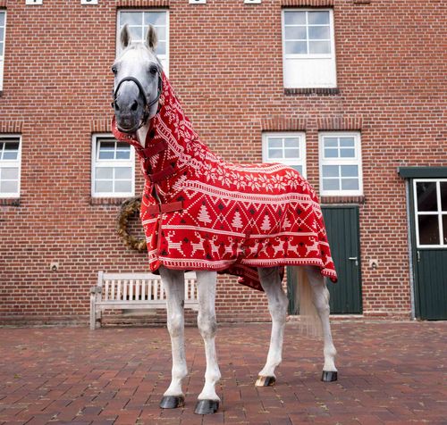 BARGAIN BARN: Horze Santa Christmas Fleece High Neck Cooler - EU 130/US 69 - Red