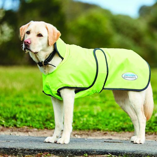 BARGAIN BARN: Weatherbeeta Comfitec Windbreaker 420D Deluxe Dog Coat - 12 - Yellow/Black
