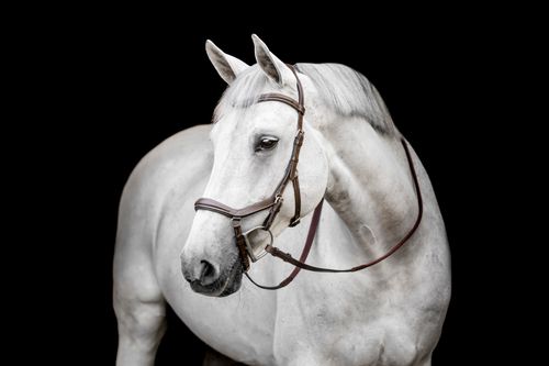 Horseware Micklem Deluxe Competition - Dark Havana