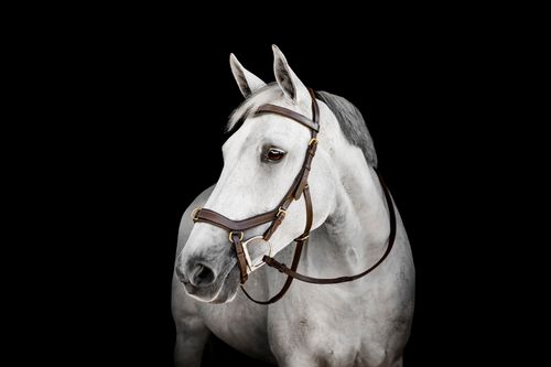 Horseware Micklem Multi Bridle - Dark Havana