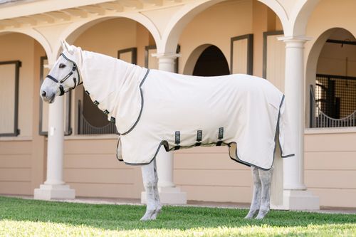 Rambo XL Hoody - Chalk/Hunter Green/Silver