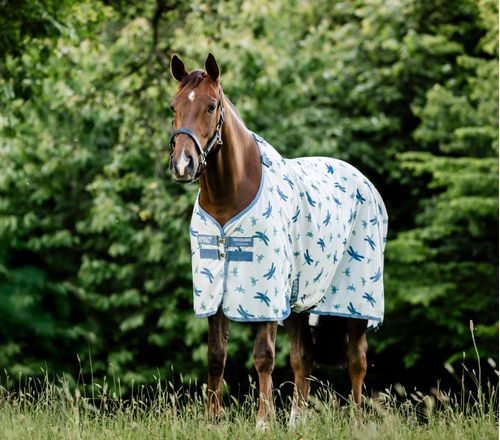 Amigo Bug Rug - Dragonfly Print/Silver/Blue/Sage