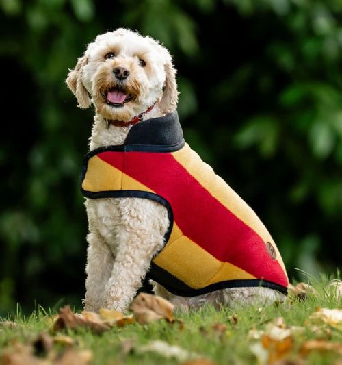 OPENBOX: Horseware Newmarket Dog Fleece - Large - Witney Gold