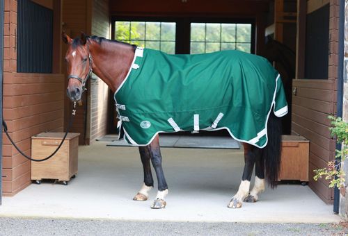 BARGAIN BARN: Centaur TG1 Horse Blanket - 75 - Hunter