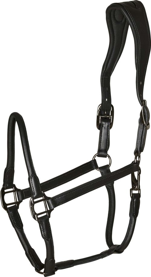 Catago Leather Halter - Black