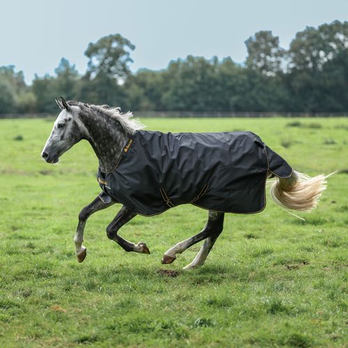 Bucas Irish Turnout Sheet 0g - Black/Gold