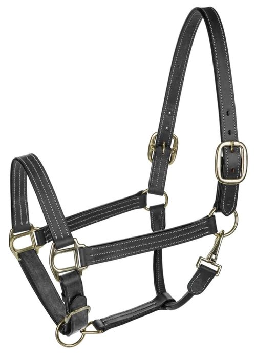 OPENBOX: Henri de Rivel Triple Stitched Halter - Cob - Black