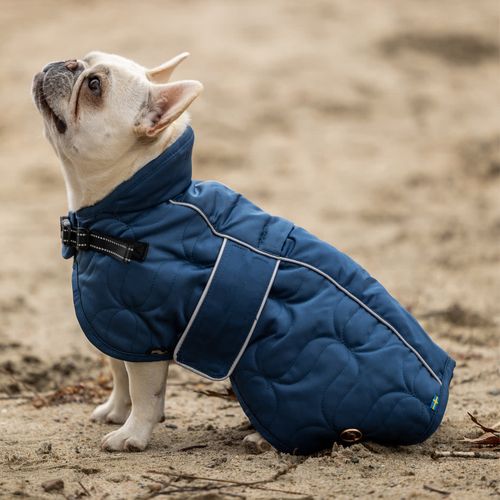 OVERSTOCK: Back on Track Deep Nights Dog Coat - 66cm - Blueberry