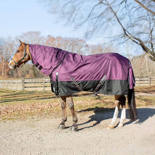 OPENBOX: Equinavia Thunder360 Detachable Neck Heavy Weight Turnout Blanket 300g - 81 - Plum Wine
