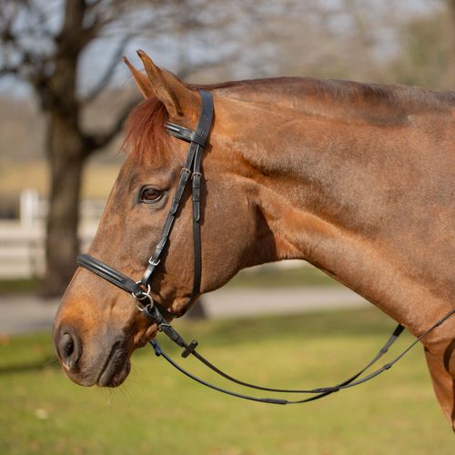 BARGAIN BARN: Equinavia Saga Bitless Bridle - Cob - Black