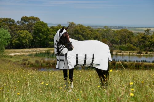 Weatherbeeta Comfitec Sweet Itch Shield Fly Sheet Combo - White/Charcoal