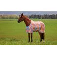 Technicolour Horses Print