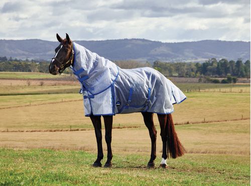 Weatherbeeta Comfitec Ripshield Fly Sheet Detach-A-Neck - White/Cobalt