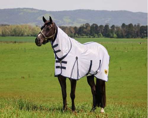 Saxon Mesh w/Belly Wrap Fly Sheet Combo - White/Navy