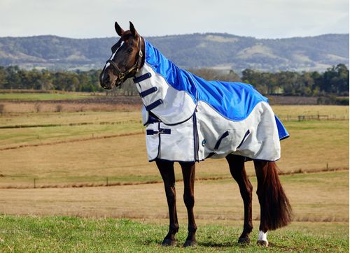 Weatherbeeta Comfitec Duo Shield Detach-A-Neck - Blue/Silver/Navy