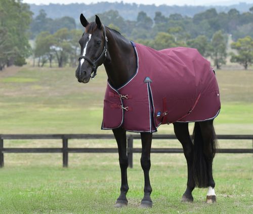Weatherbeeta Comfitec Essential Turnout Combo 50G - Burgundy/Navy
