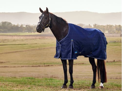 Weatherbeeta Comfitec Prelim Turnout 100G - Navy Embossed Plaid