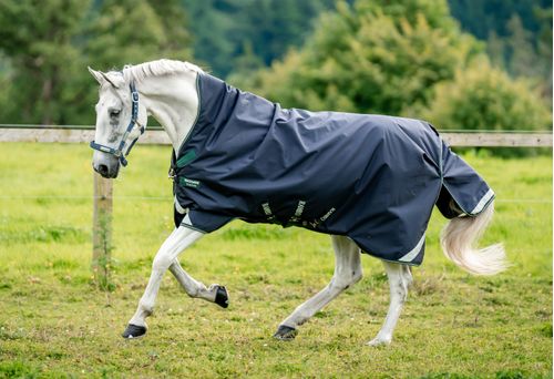 Rambo 1680D Wug Turnout 50g - Navy/Hunter Green/Silver