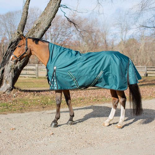 BARGAIN BARN: Equinavia Arktis Extended Neck Heavy Weight Turnout Blanket 300g - 75 - Deep Green